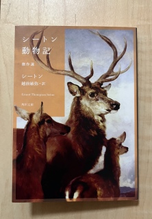 �w�V�[�g�������L�@����I�x