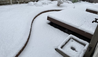 �ς�����