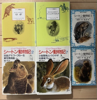 �w�V�[�g�������L�x�[�}���ق̖{