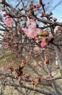 �͒Í��[�炫�n��