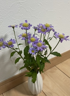 ���낢��Y�܂���