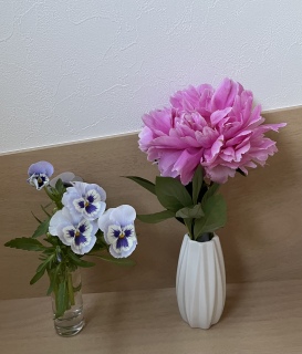䉖�ƃp���W�[